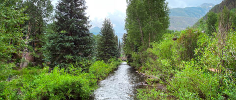 Photo of a river in Colorado.