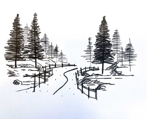 An original sketch of pine trees and a path with a fence.